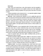 Referāts 'Personības prezentēšanas prasme jauniešu vecumā', 10.