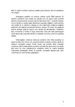 Eseja 'Hantingtona civilizāciju sadursmes', 6.