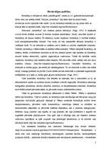 Referāts 'Birokrātijas politika', 3.