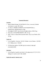 Referāts 'ASV valsts varas dalīšanas sistēmas analīze', 19.