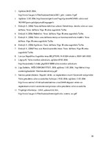 Referāts 'ASV valsts varas dalīšanas sistēmas analīze', 20.