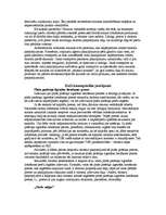 Referāts 'Tūrisma satelītkontu mērķi', 5.