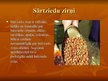 Prezentācija 'Zirņu audzēšana', 4.