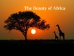 Prezentācija 'The Beauty of Africa', 1.