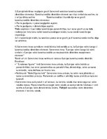 Konspekts 'Karoga konstitucionāla nozīme, diskriminācijas aizliegums', 5.