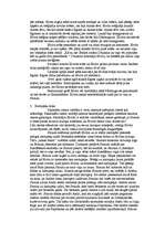 Konspekts 'Romāns "Sila purenes klusē"', 4.