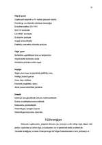 Referāts 'Francijas eksporta vides analīze A/S "Rīgas Piensaimnieks" produktam - šokolādes', 28.