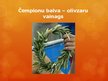 Prezentācija 'Senās Grieķijas zinātnes sasniegumi un Olimpiskās spēles', 12.