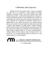 Referāts 'Mārketinga plāns uzņēmumam "Rīgas Montāžnieks”', 11.