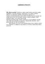 Biznesa plāns 'Biznesa plāna apraksta daļa', 1.