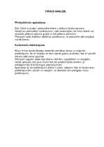 Biznesa plāns 'Biznesa plāna apraksta daļa', 3.