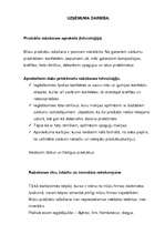 Biznesa plāns 'Biznesa plāna apraksta daļa', 5.