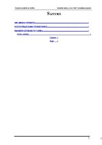 Referāts 'Jauniešu kartes “Cool Card” ieviešanas projekts bankā “X”', 2.