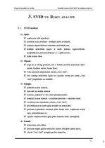 Referāts 'Jauniešu kartes “Cool Card” ieviešanas projekts bankā “X”', 11.