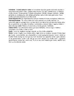 Konspekts 'Laimes kategorija tiesību filosofijā', 2.