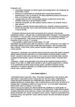 Referāts 'Fotoaparāts', 2.