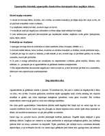 Referāts 'Vides ķīmiskais piesārņojums un ugunsnelaimju preventīvie pasākumi un rīcība ugu', 17.