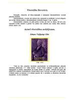 Referāts 'Vientulība literatūrā', 2.