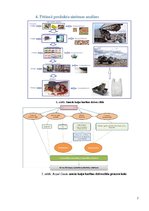 Referāts 'Firmas "Royal Canin" produkta sausā kaķu barība "Sterilised 37" ietekme uz vidi', 9.