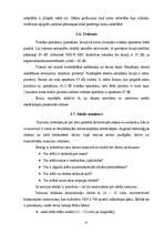 Referāts 'Datora nelabvēlīgā ietekme uz cilvēku, tās likvidēšanas iespējas', 6.