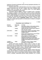 Referāts 'Autotransporta pasažieru pārvadājumi Latvijā', 23.