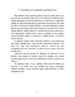 Referāts 'Vadīšanas stili', 5.