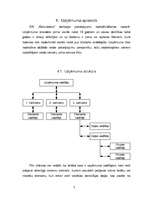 Referāts 'Vadīšanas stili', 7.