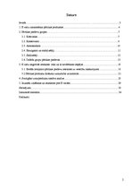 Referāts 'E vielas uzturā un to ietekme uz veselību', 2.