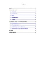 Referāts 'Organizācijas kultūras novērtējums uzņēmumā', 3.