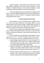 Referāts 'Organizācijas kultūras novērtējums uzņēmumā', 17.