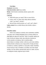 Prakses atskaite 'Pirmsskolas prakses dienasgrāmata. Tēma "Ābolītis"', 8.