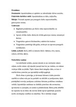 Prakses atskaite 'Pirmsskolas prakses dienasgrāmata. Tēma "Ābolītis"', 11.