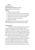 Prakses atskaite 'Pirmsskolas prakses dienasgrāmata. Tēma "Ābolītis"', 13.