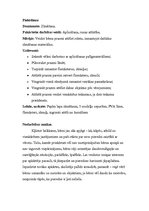 Prakses atskaite 'Pirmsskolas prakses dienasgrāmata. Tēma "Ābolītis"', 19.