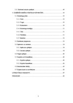 Biznesa plāns 'Kēksu ražotnes projekts', 3.