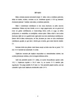 Biznesa plāns 'Kēksu ražotnes projekts', 4.