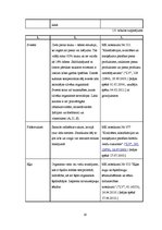 Biznesa plāns 'Kēksu ražotnes projekts', 19.