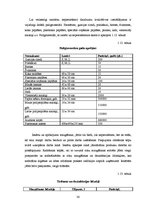 Biznesa plāns 'Kēksu ražotnes projekts', 30.