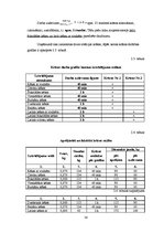 Biznesa plāns 'Kēksu ražotnes projekts', 38.