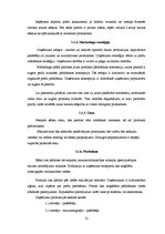 Biznesa plāns 'Kēksu ražotnes projekts', 52.