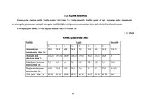 Biznesa plāns 'Kēksu ražotnes projekts', 63.