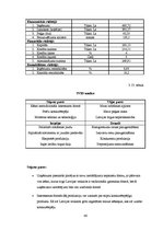 Biznesa plāns 'Kēksu ražotnes projekts', 66.