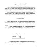 Referāts 'Vizītkartes', 5.