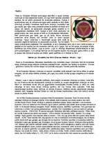 Referāts 'Vēdiskā astroloģija', 6.