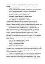 Eseja 'Organizācijas kultūra', 2.