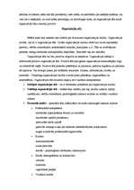 Eseja 'Organizācijas kultūra', 3.