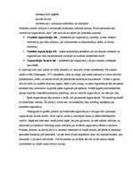 Eseja 'Organizācijas kultūra', 4.