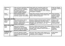 Konspekts 'Tematiskais plānojums', 3.