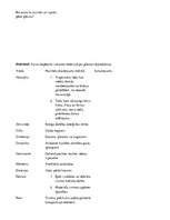 Eseja 'Domraksts par gleznas reprodukciju.', 5.