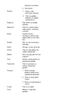 Eseja 'Domraksts par gleznas reprodukciju.', 7.